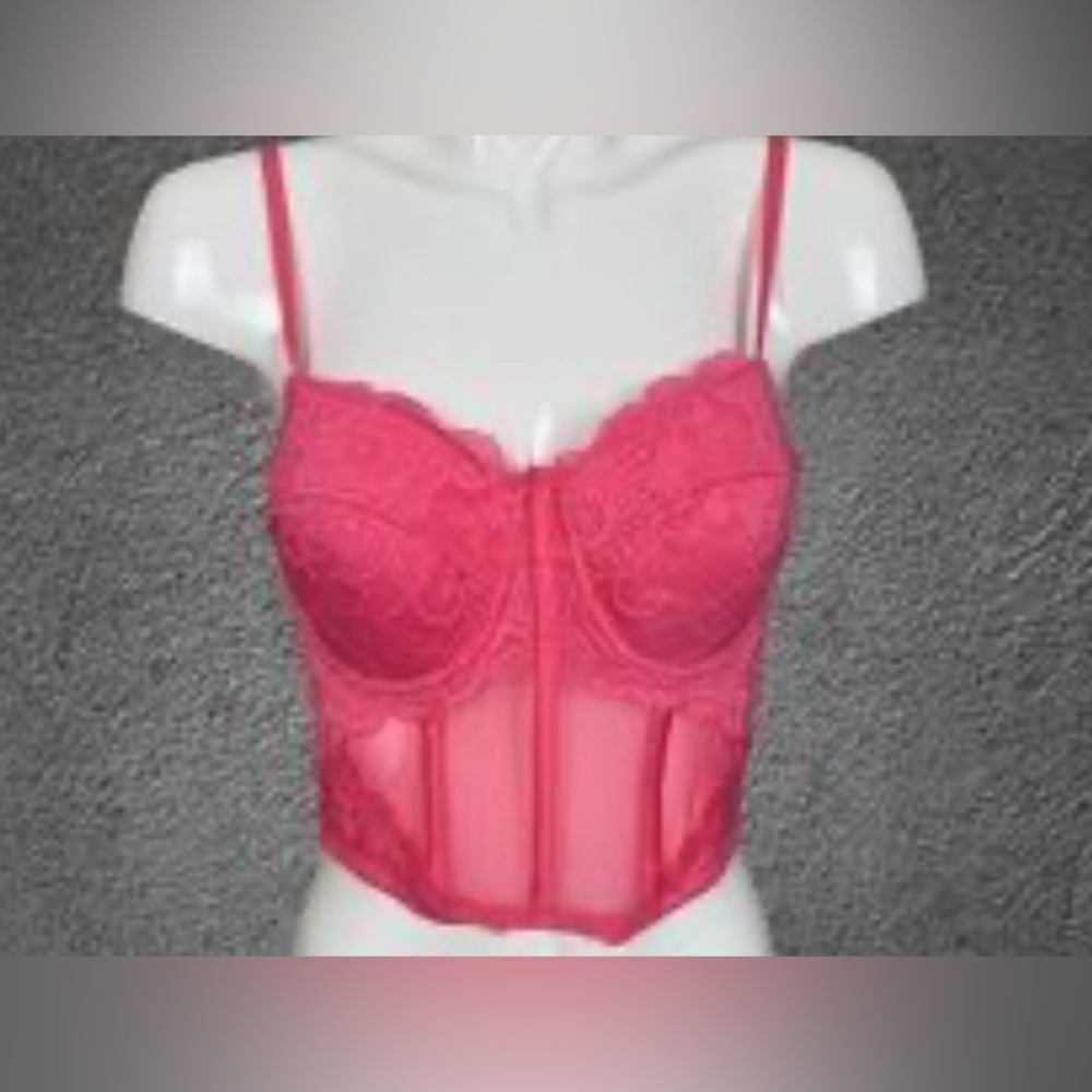 Say What Pink Bustier‎ Corset Strap Crop Top Women SZ M Zip Sheer